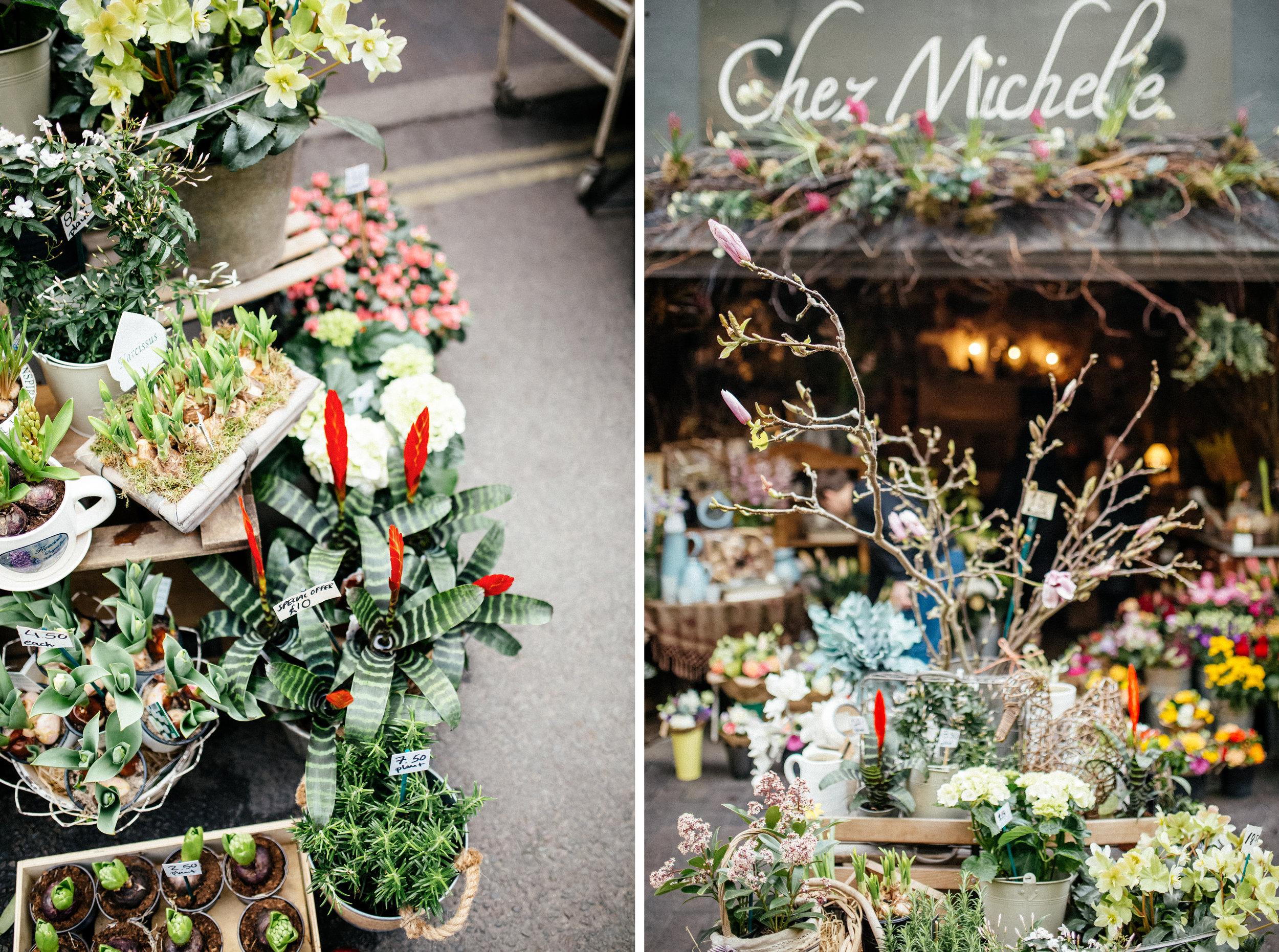 Borough Market Florist * Borough Market in London City Photo