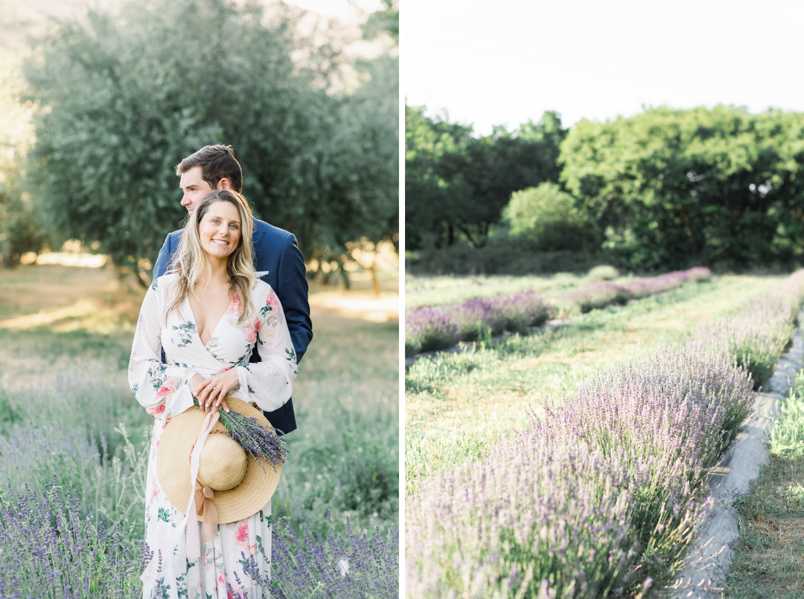 Lavender Field Engagement in Napa Valley