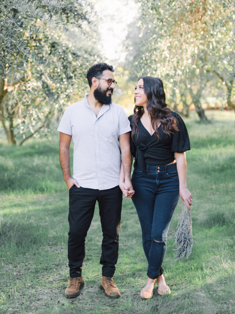 Olive Grove Engagement Photos in Napa Valley