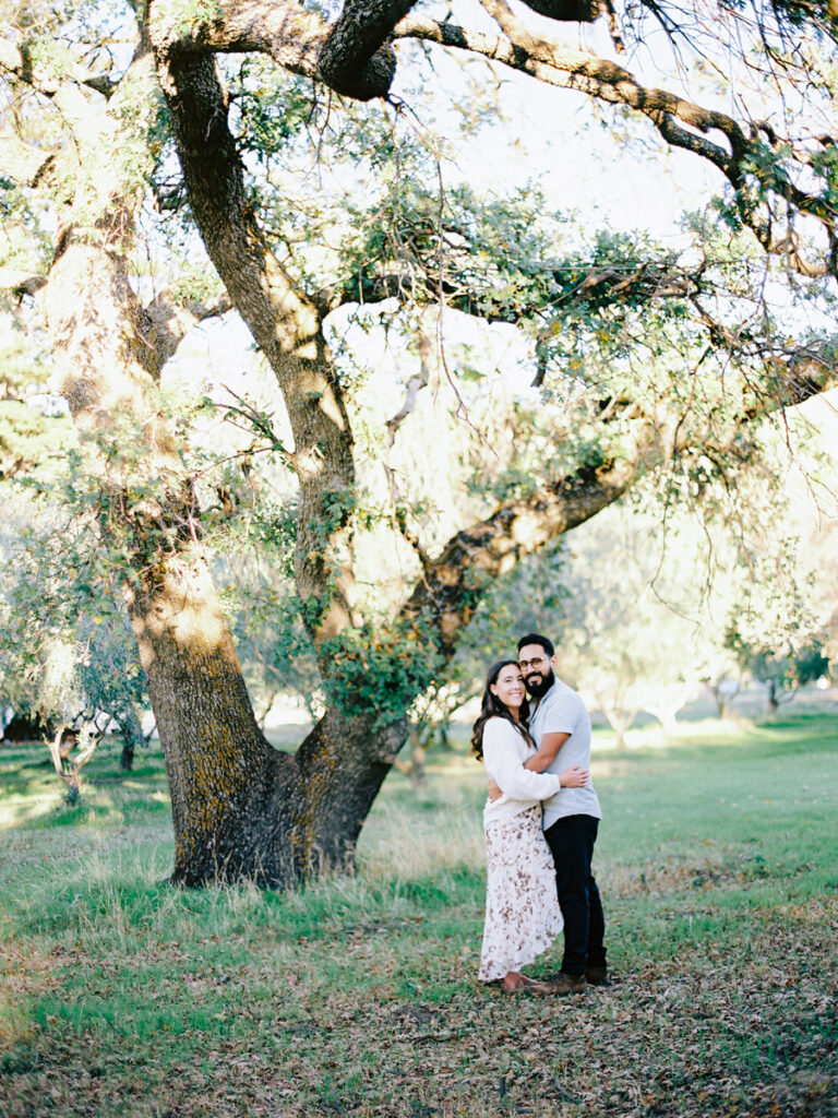 Napa Valley Engagement Photo