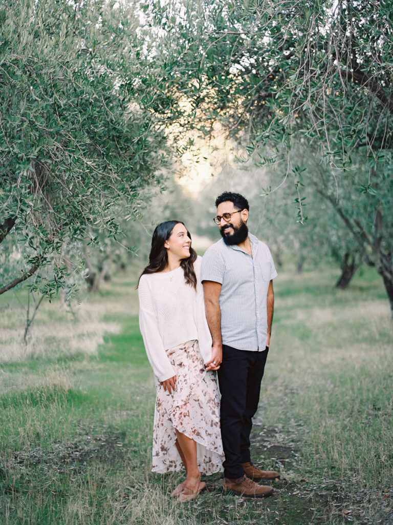 Olive Grove Engagement Photos in Napa Valley