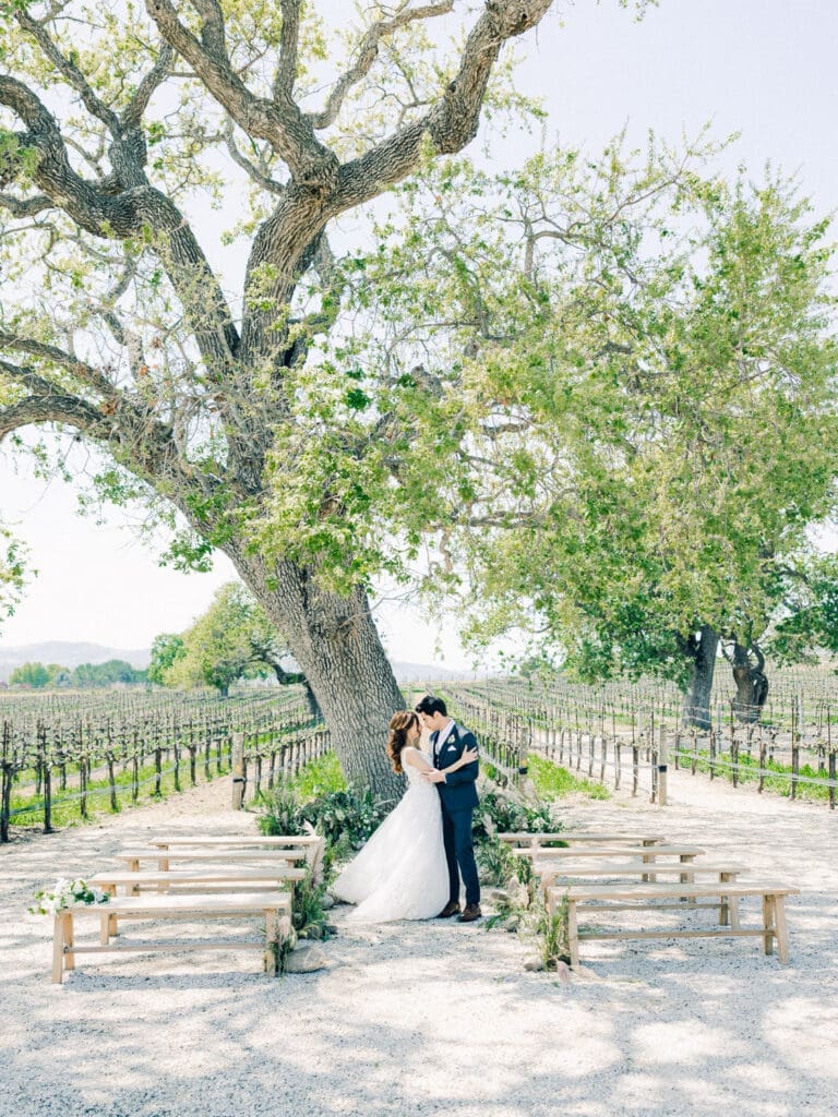 Bride and Groom ceremony at  Intimate Vineyard Wedding at Sunstone Winery