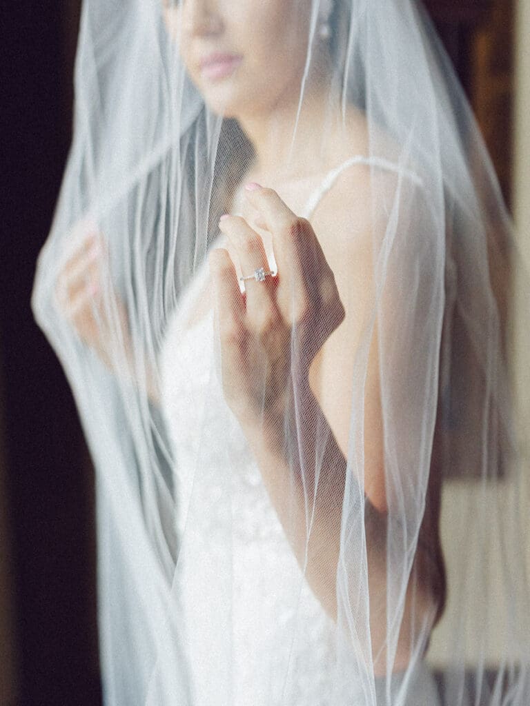 A bride covered by veil portrait