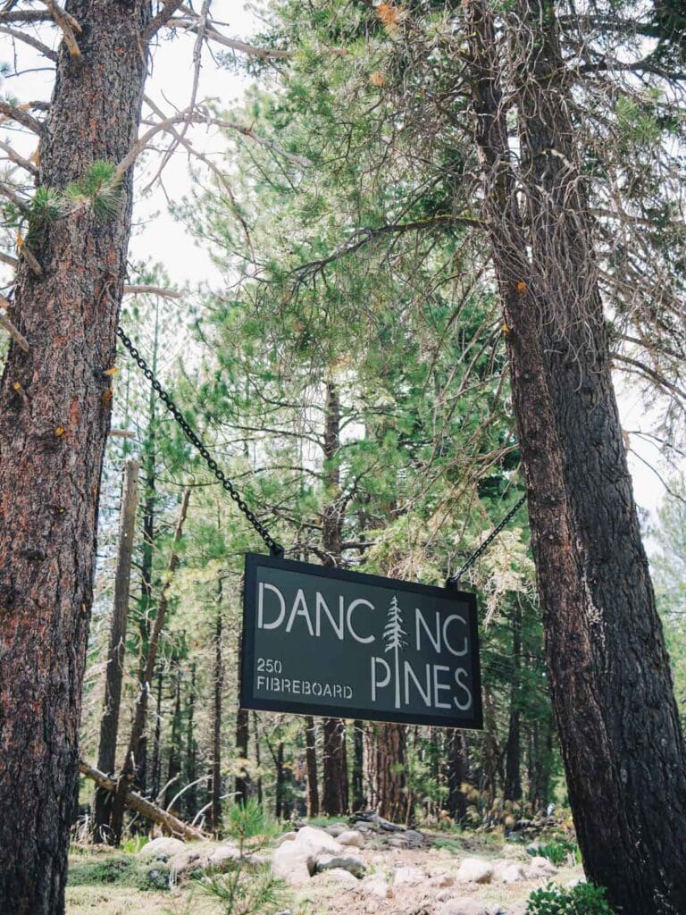 Lake Tahoe Dancing Pines Wedding 