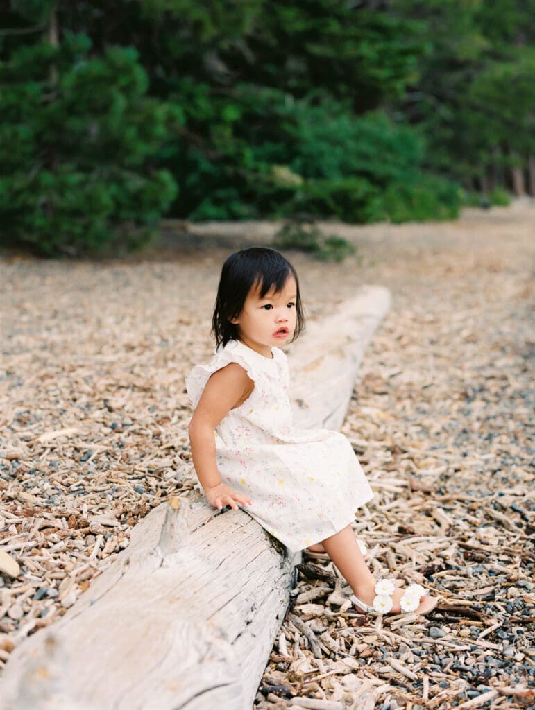 A little girl in a dress poses sitting on a tree, captured during a family photography session in South Lake Tahoe.